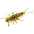 Stonefly 0.75" Green Pumpkin Seed